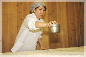 杜氏 千野麻里子